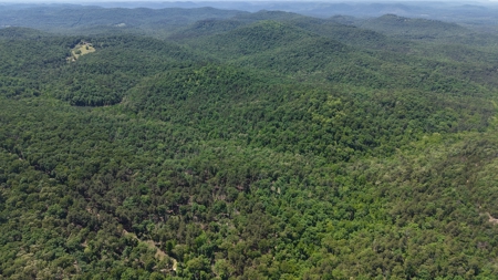 Hunting Land For Sale In North Central Arkansas - image 18