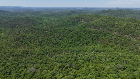 Hunting Land For Sale In North Central Arkansas - image 19