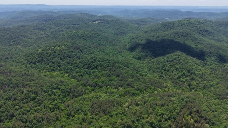 Hunting Land For Sale In North Central Arkansas - image 5