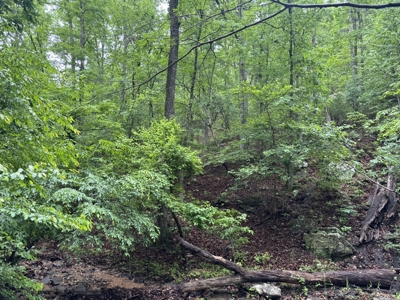 Hunting Land For Sale In North Central Arkansas - image 12