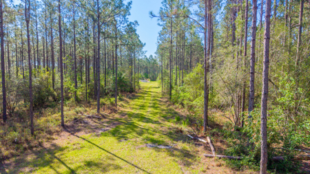 325 Acres of Prime High-Fenced Recreational Land Bradford County - image 5