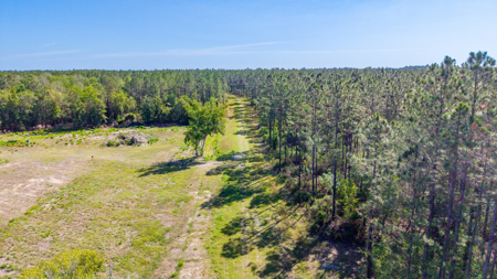 325 Acres of Prime High-Fenced Recreational Land Bradford County - image 7