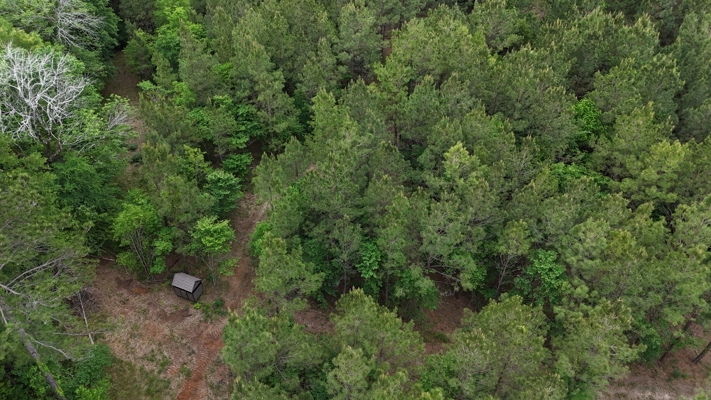 LA Recreation & Timber Property Joining Saline Lake