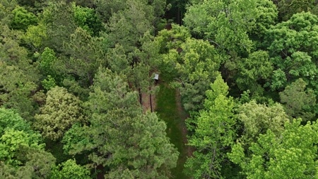 LA Recreation & Timber Property Joining Saline Lake - image 27