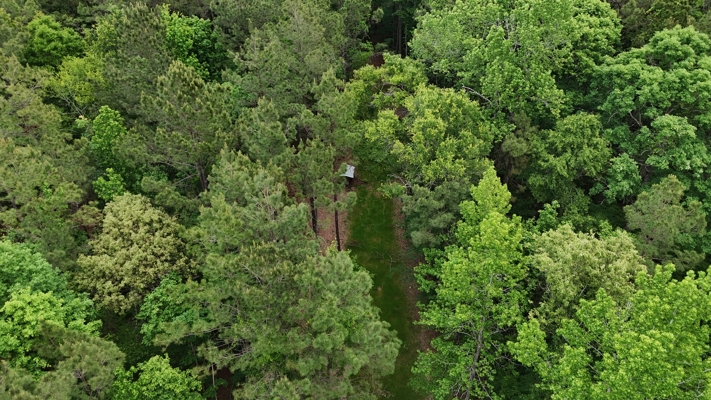 LA Recreation & Timber Property Joining Saline Lake