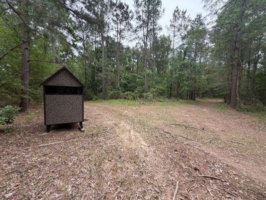 LA Recreation & Timber Property Joining Saline Lake