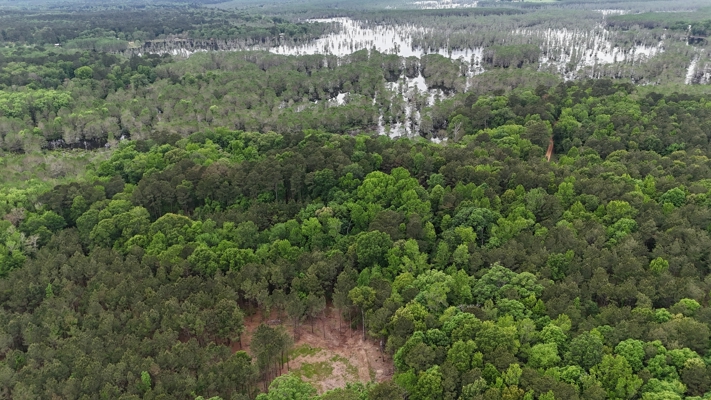 LA Recreation & Timber Property Joining Saline Lake