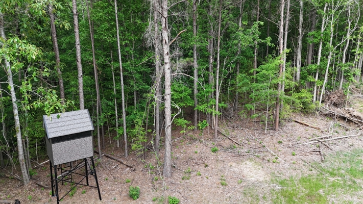 LA Recreation & Timber Property Joining Saline Lake