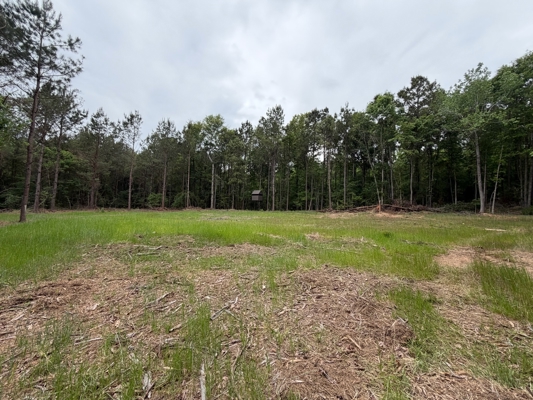 LA Recreation & Timber Property Joining Saline Lake