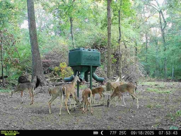 Listing 130