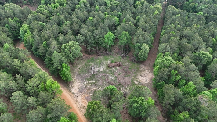 LA Recreation & Timber Property Joining Saline Lake