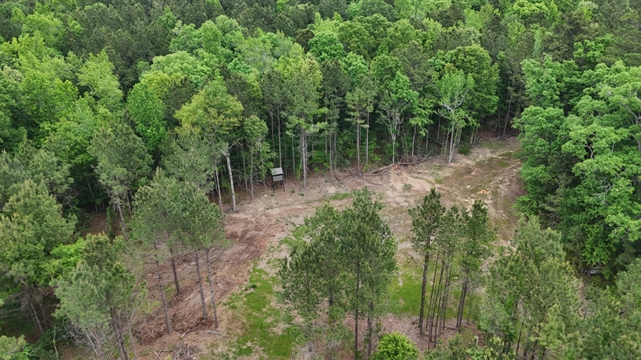 LA Recreation & Timber Property Joining Saline Lake