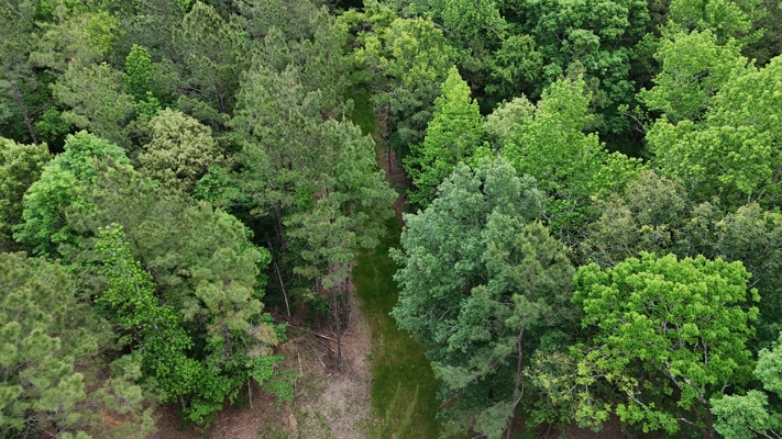 LA Recreation & Timber Property Joining Saline Lake