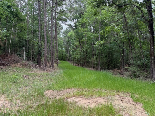 LA Recreation & Timber Property Joining Saline Lake