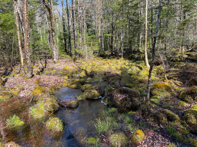 Large Land Parcel with Potential - Ellsworth, Maine - image 20