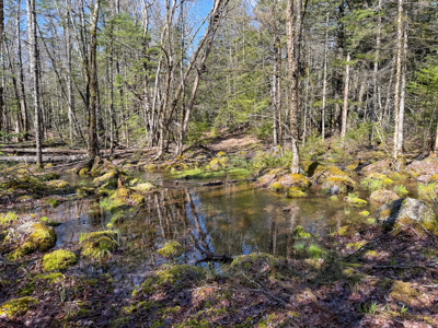 Large Land Parcel with Potential - Ellsworth, Maine - image 19