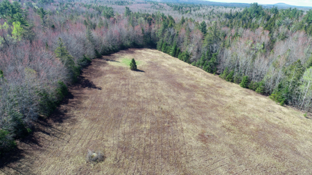 Large Land Parcel with Potential - Ellsworth, Maine - image 5