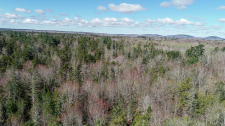 Large Land Parcel with Potential - Ellsworth, Maine - image 4