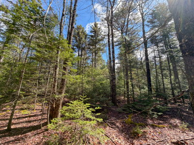 Large Land Parcel with Potential - Ellsworth, Maine - image 25