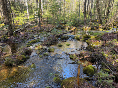 Large Land Parcel with Potential - Ellsworth, Maine - image 23