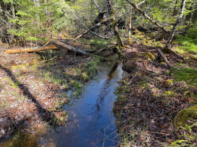 Large Land Parcel with Potential - Ellsworth, Maine - image 14