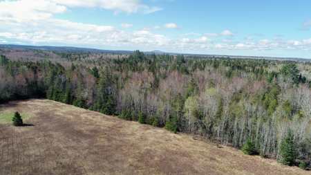 Large Land Parcel with Potential - Ellsworth, Maine - image 6