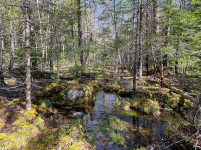 Large Land Parcel with Potential - Ellsworth, Maine - image 21