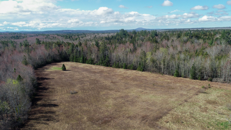 Large Land Parcel with Potential - Ellsworth, Maine - image 1
