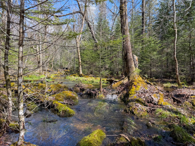 Large Land Parcel with Potential - Ellsworth, Maine - image 24