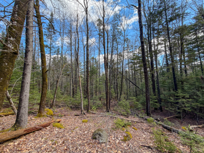 Large Land Parcel with Potential - Ellsworth, Maine - image 28