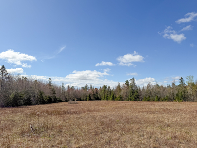 Large Land Parcel with Potential - Ellsworth, Maine - image 8