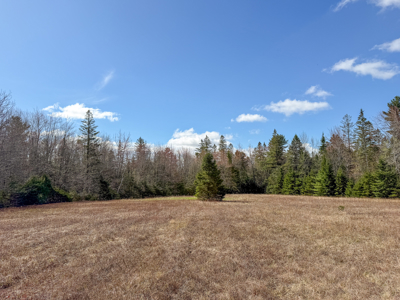 Large Land Parcel with Potential - Ellsworth, Maine - image 10