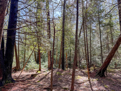 Large Land Parcel with Potential - Ellsworth, Maine - image 12