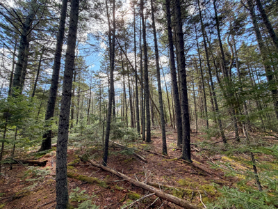 Large Land Parcel with Potential - Ellsworth, Maine - image 27