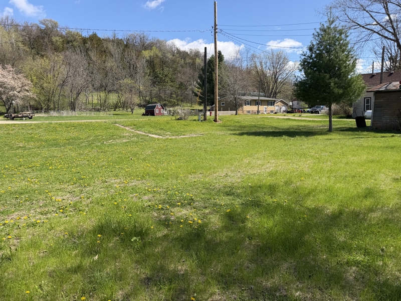 No Caption