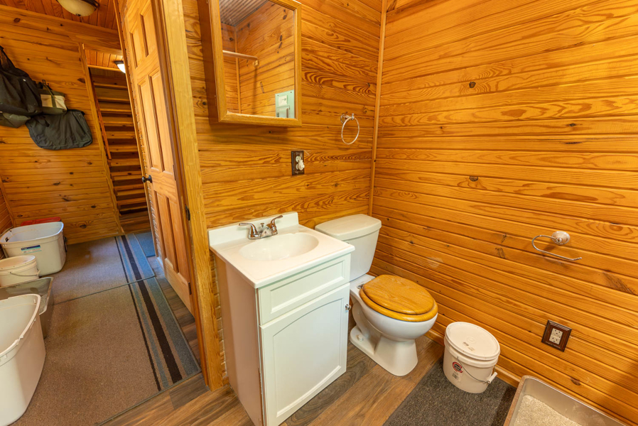 No Caption