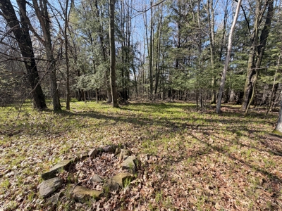 120 acres located in the Town of Dewey, Portage County, WI - image 27