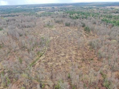 120 acres located in the Town of Dewey, Portage County, WI - image 17