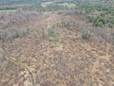 120 acres located in the Town of Dewey, Portage County, WI - image 31