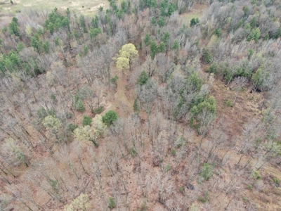 120 acres located in the Town of Dewey, Portage County, WI - image 43
