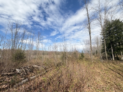 120 acres located in the Town of Dewey, Portage County, WI - image 50
