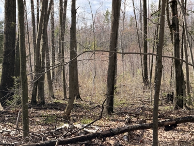 120 acres located in the Town of Dewey, Portage County, WI - image 44