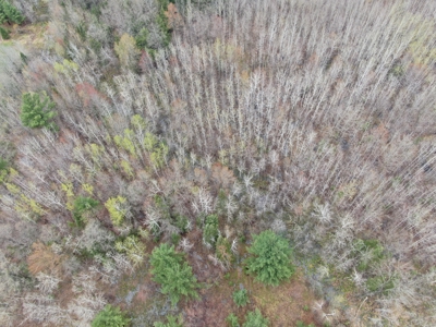 120 acres located in the Town of Dewey, Portage County, WI - image 9