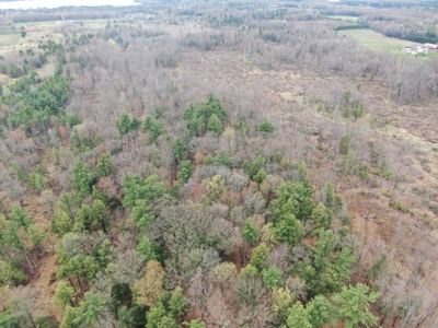 120 acres located in the Town of Dewey, Portage County, WI - image 14