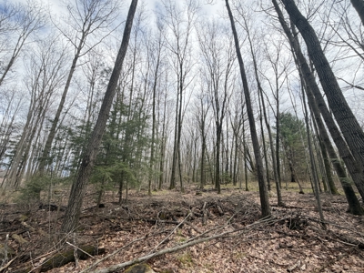 120 acres located in the Town of Dewey, Portage County, WI - image 37