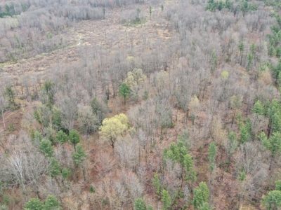 120 acres located in the Town of Dewey, Portage County, WI - image 39
