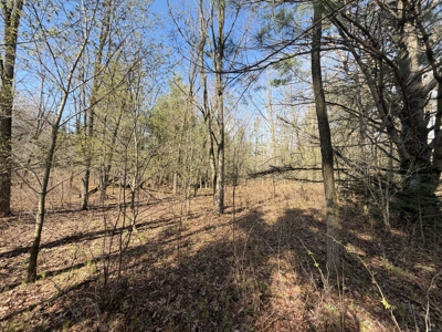 120 acres located in the Town of Dewey, Portage County, WI - image 26