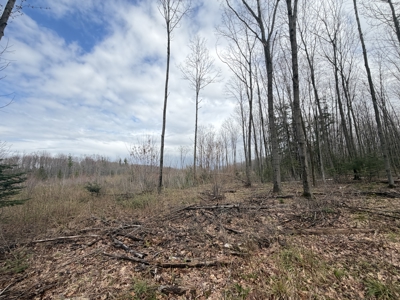 120 acres located in the Town of Dewey, Portage County, WI - image 36