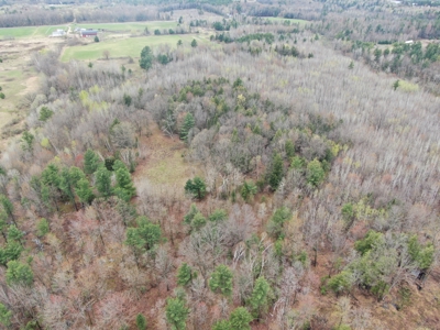 120 acres located in the Town of Dewey, Portage County, WI - image 4