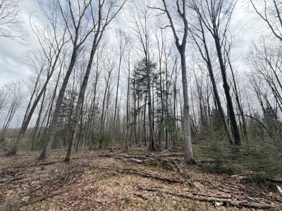 120 acres located in the Town of Dewey, Portage County, WI - image 45